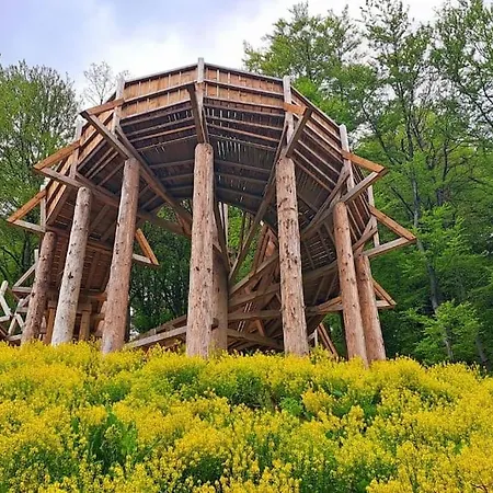 Direkt In Der Apartamento