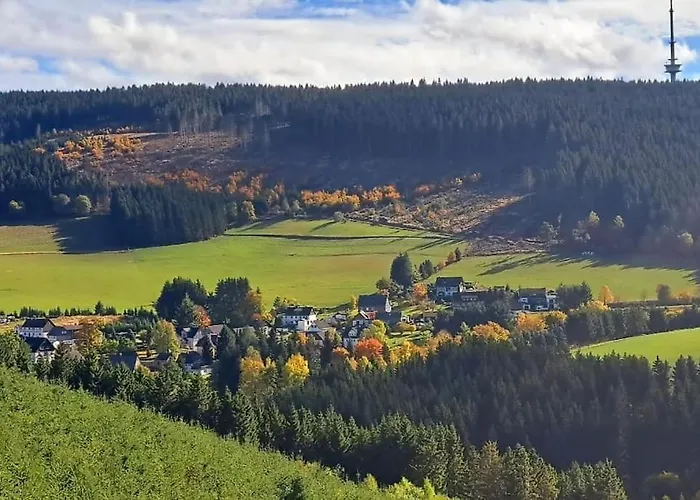 Appartement Direkt In Der *